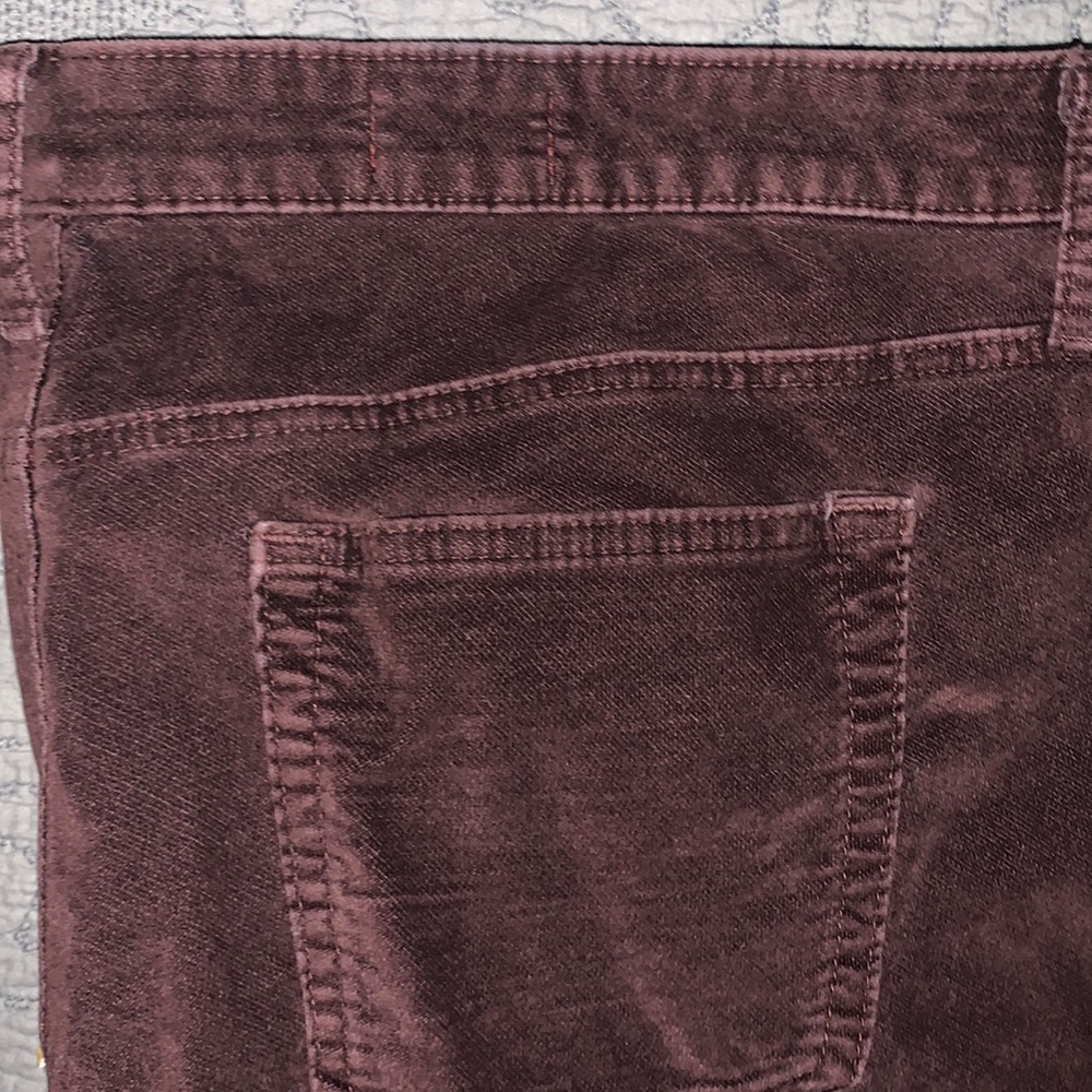 Gap Velvet Jeans Always Skinny in Cranberry
